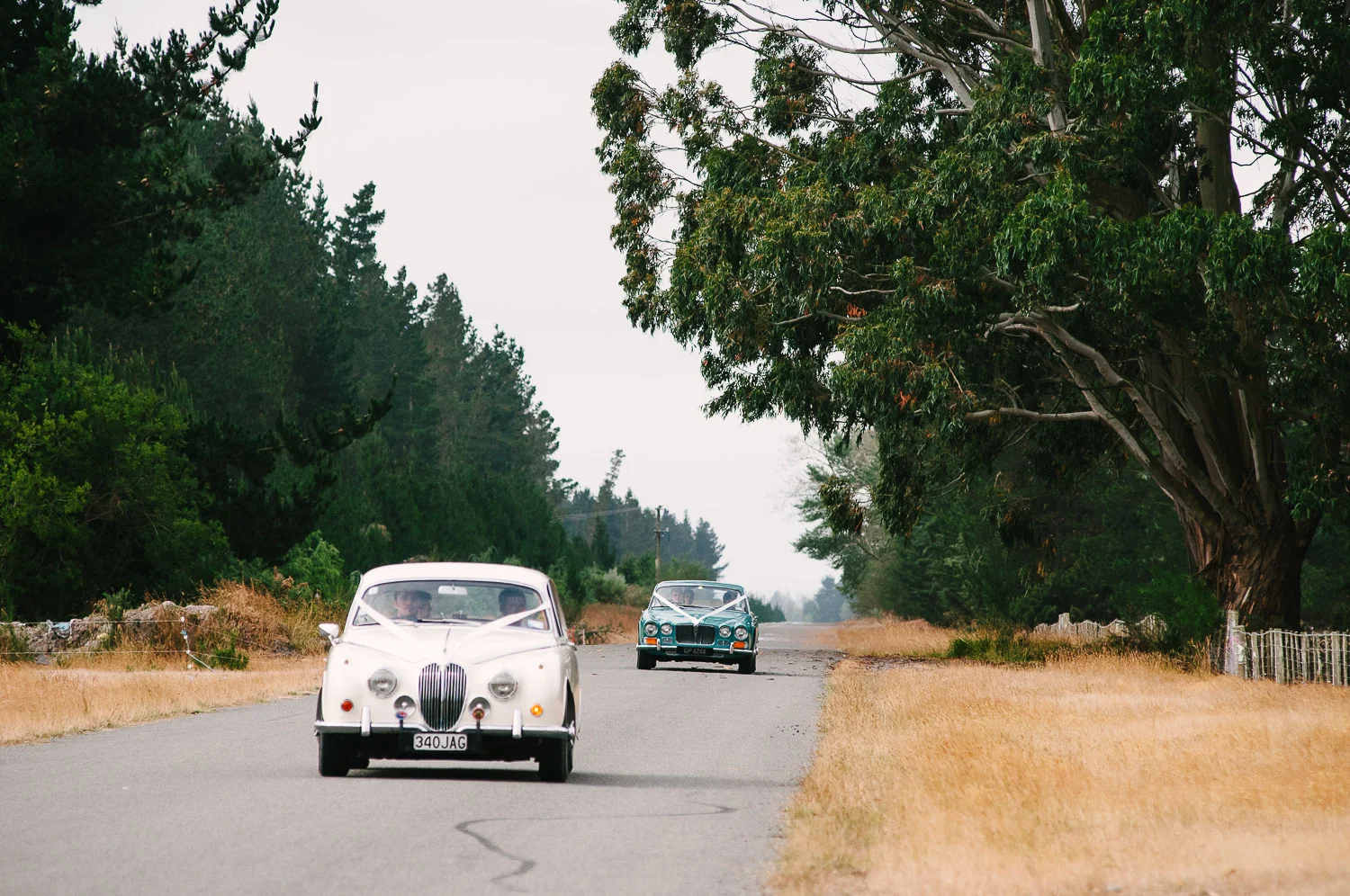 Langdale Vineyard Wedding, wedding cars.