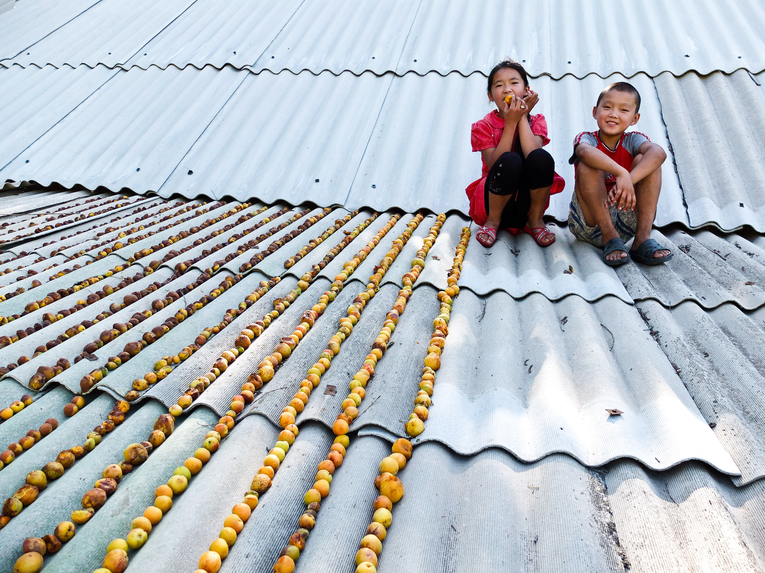 Kids drying apricots on a roof, Kazakhstan.
