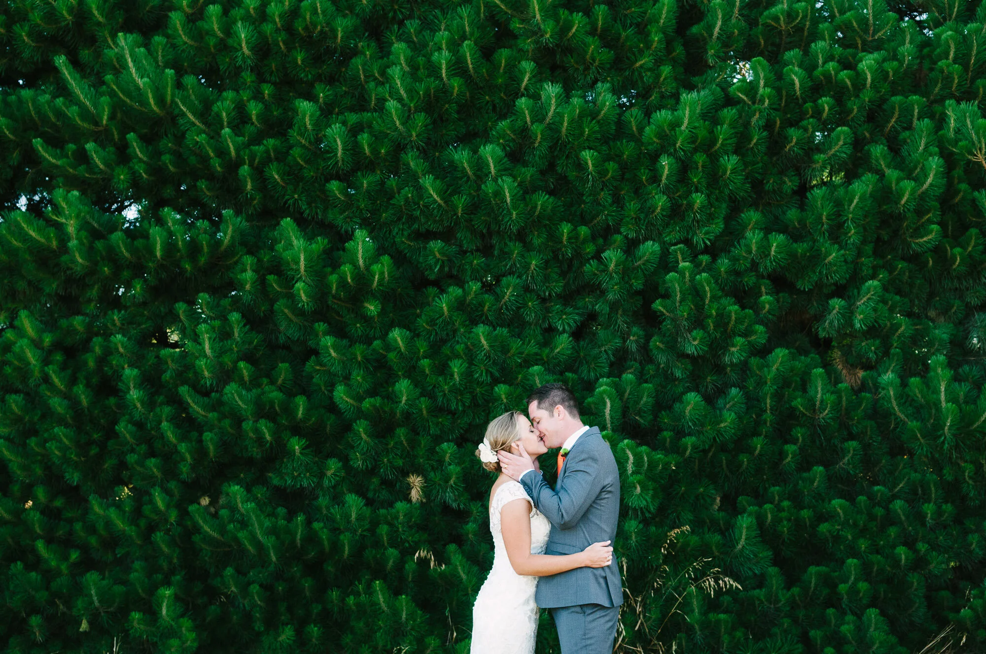 christchurch_wedding_photographer_thomas_pickard_0015.jpg