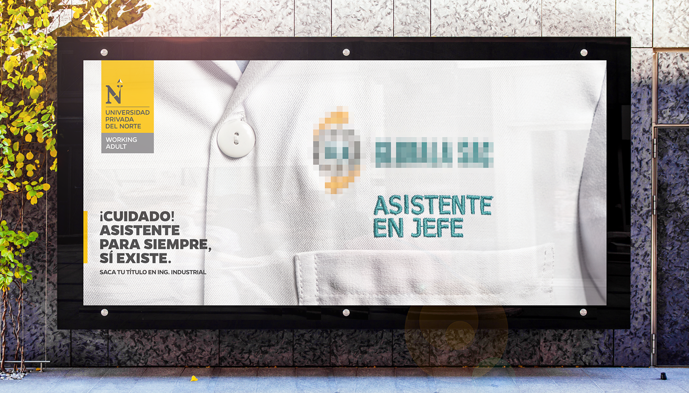 ASISTENTE EN JEFE