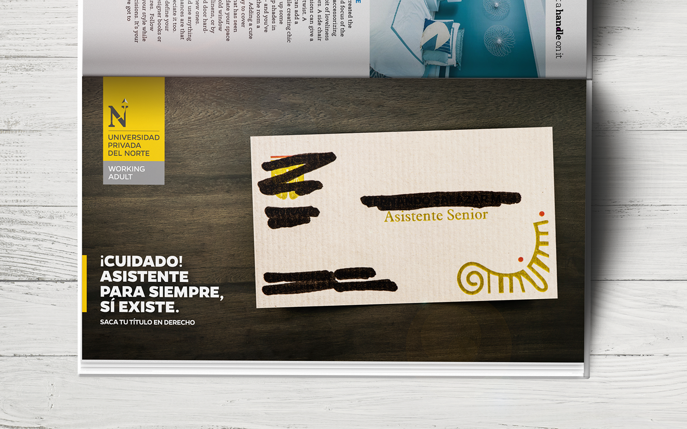 ASISTENTE SENIOR