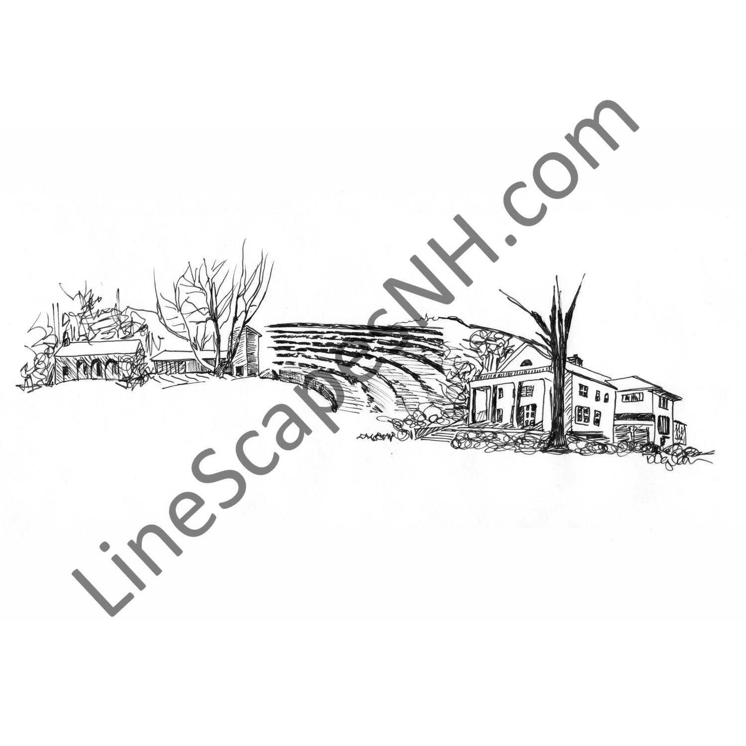 MacDowell with Amphitheater.png