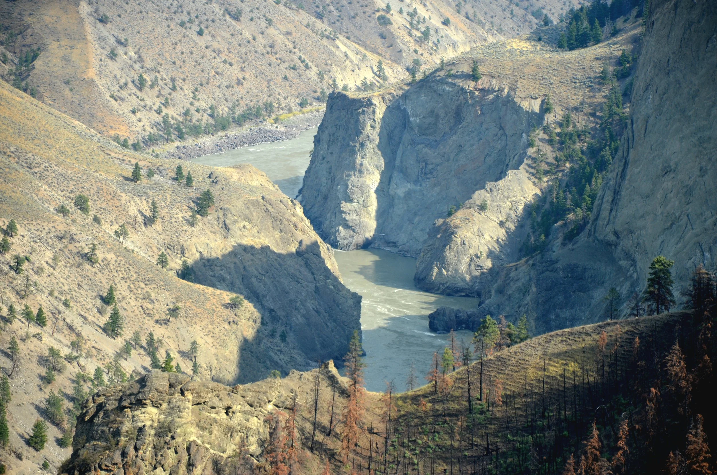 DSC_0886.JPG