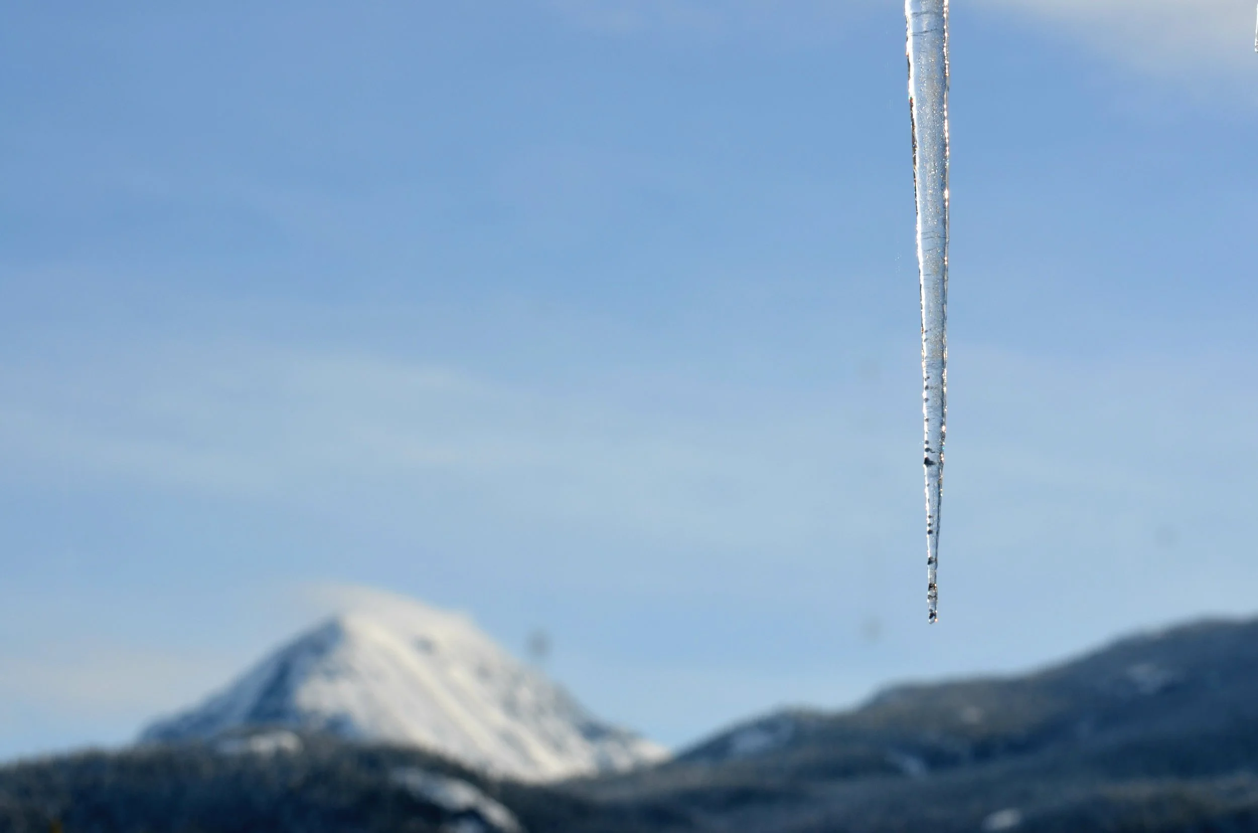 DSC_0124.JPG