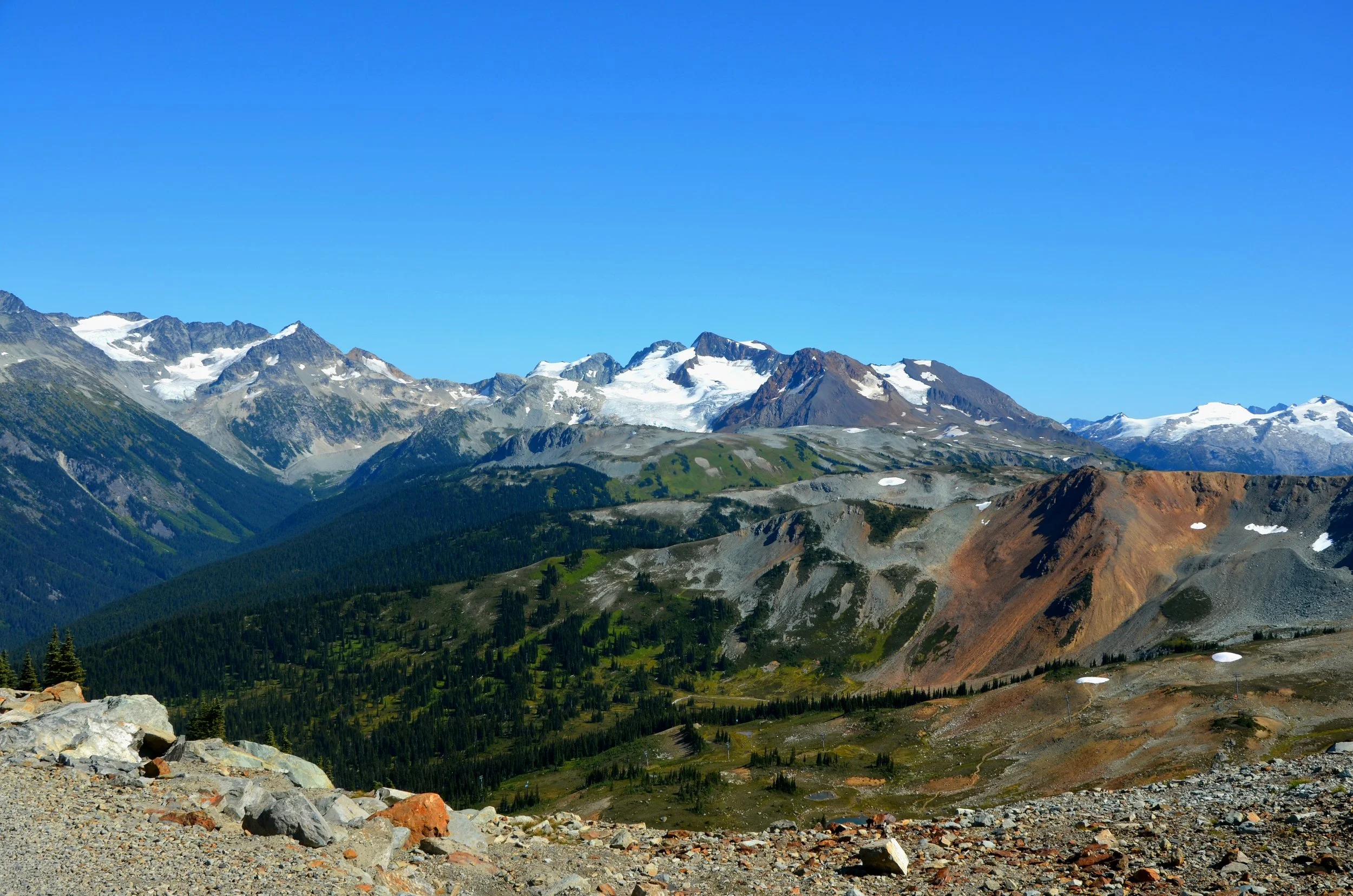 DSC_0400.JPG