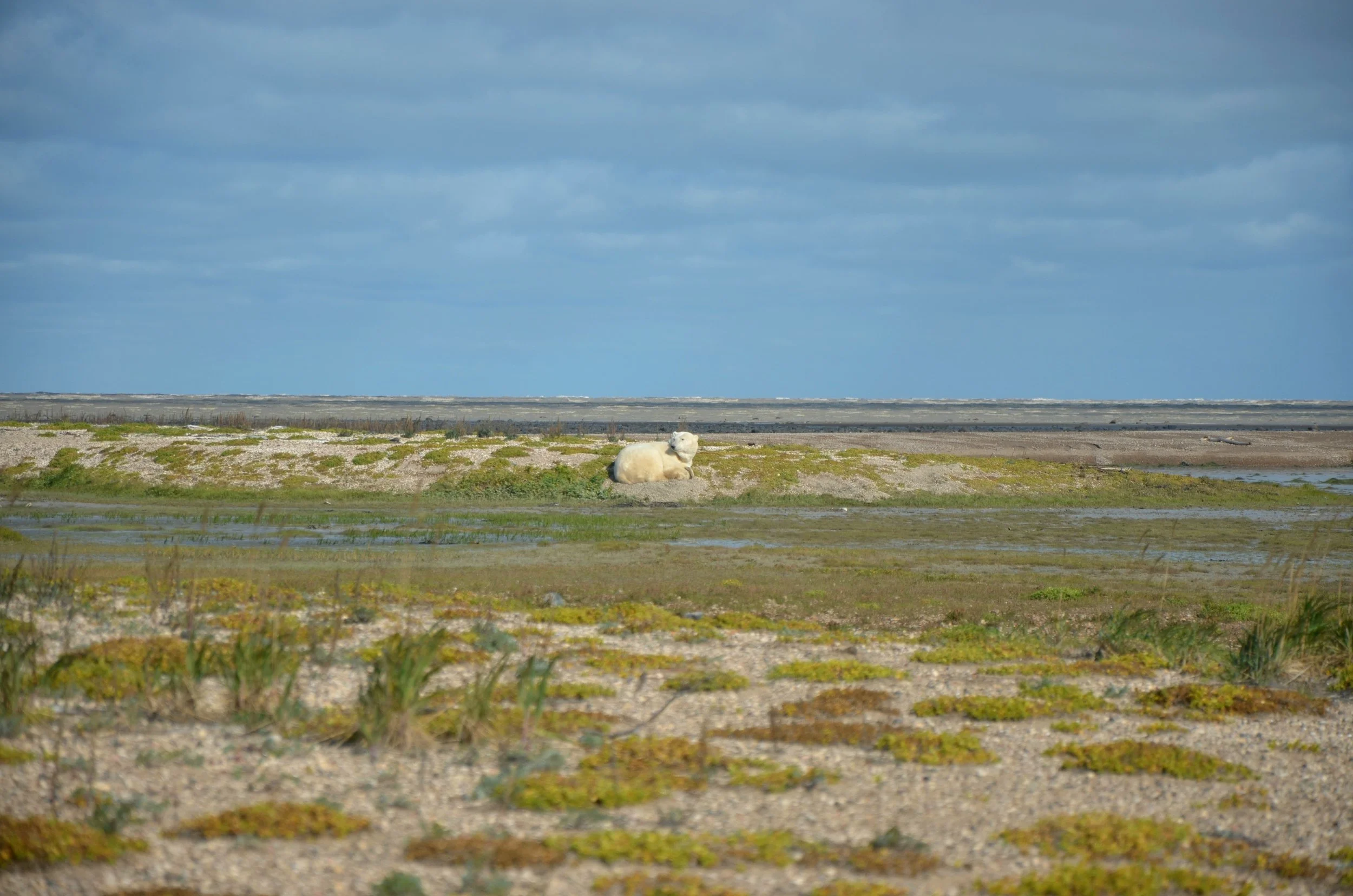 DSC_0506.JPG