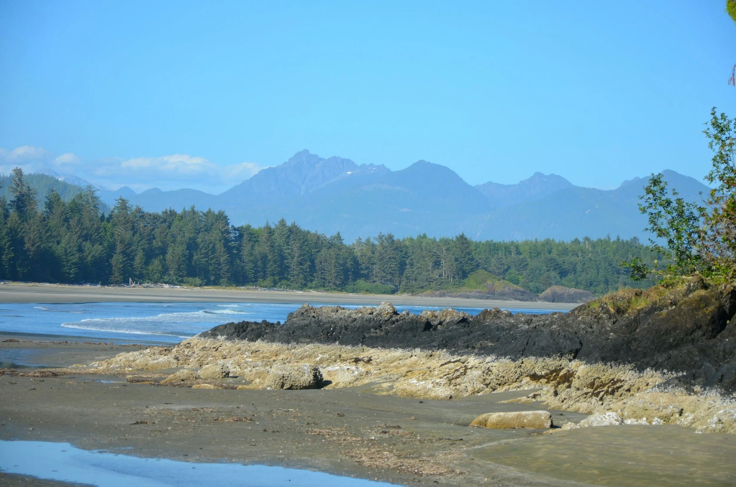 DSC_0559.JPG