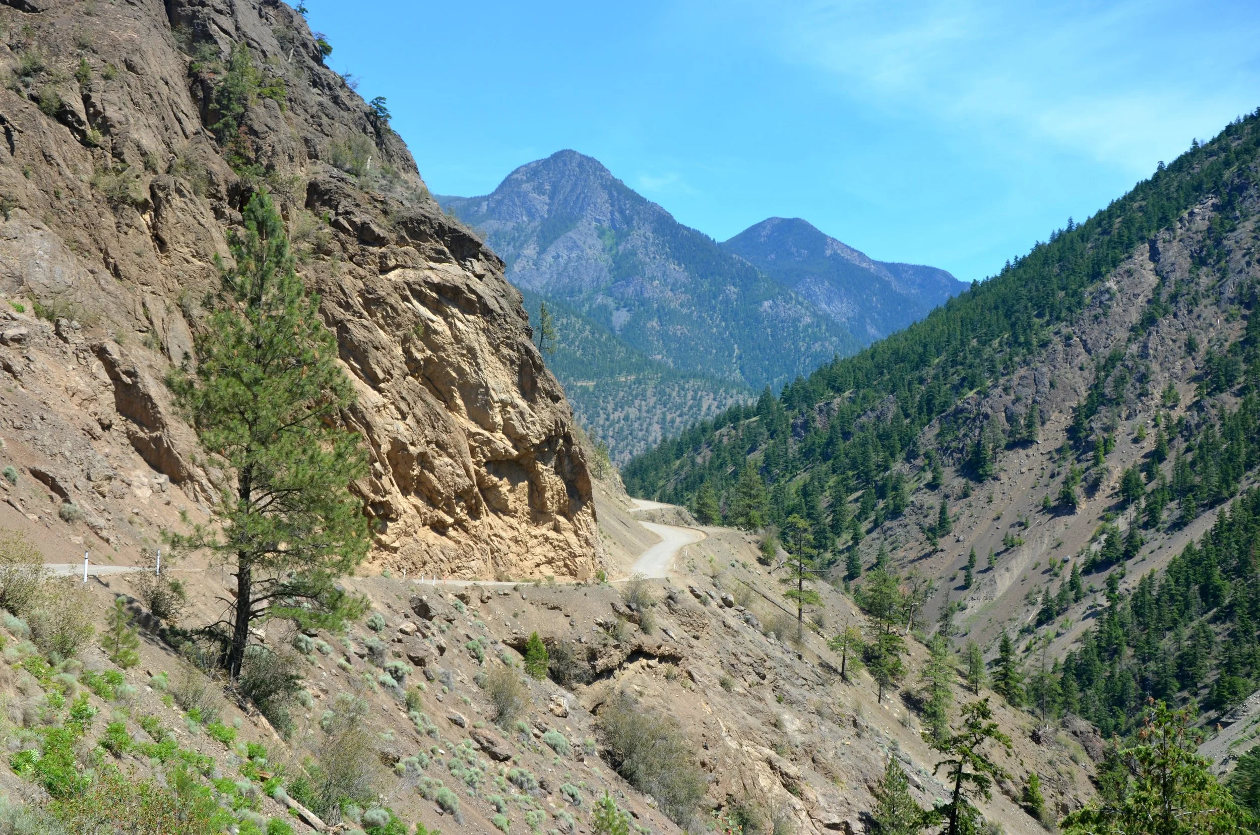 DSC_0613.JPG