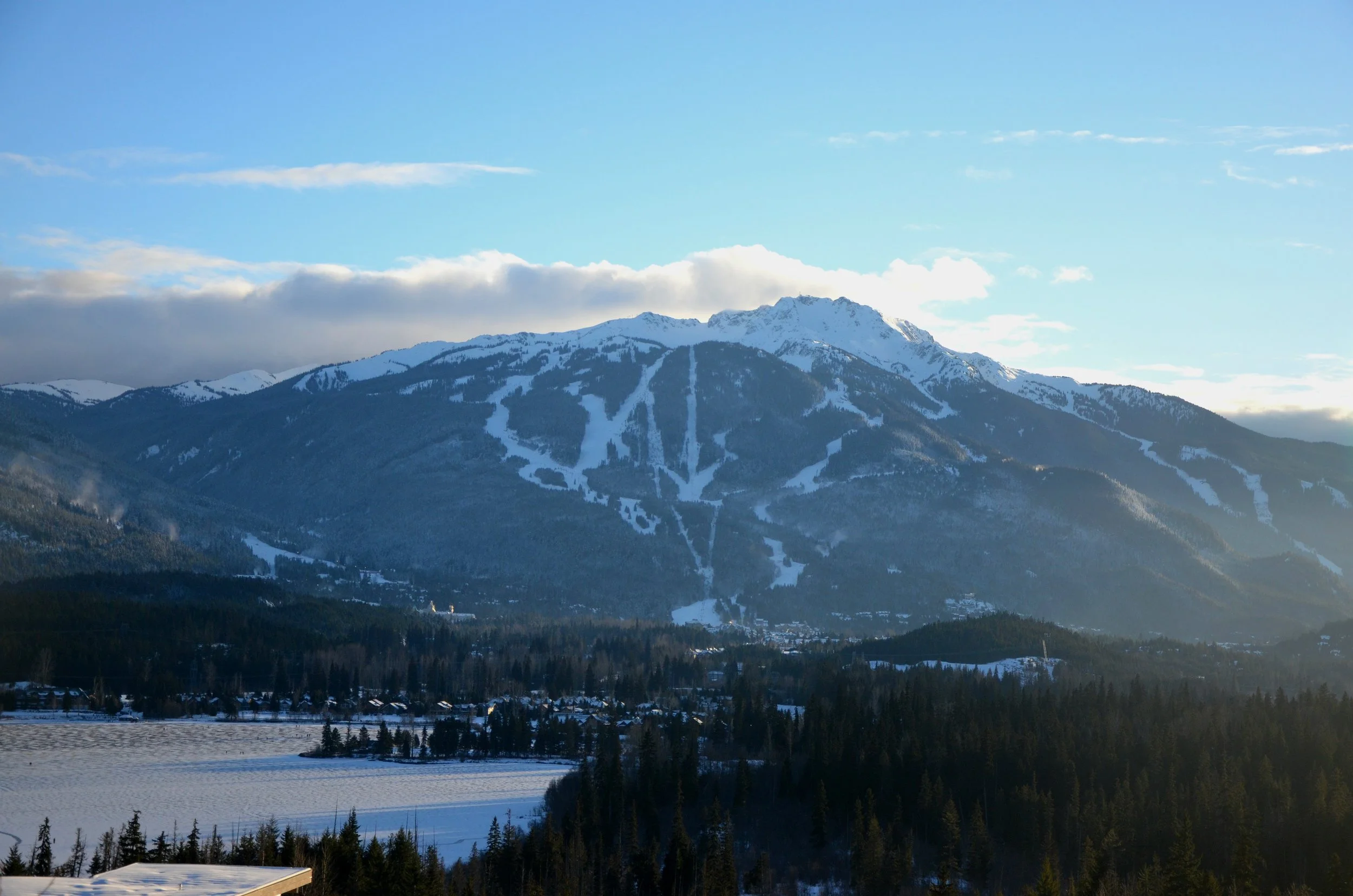 DSC_0714.JPG