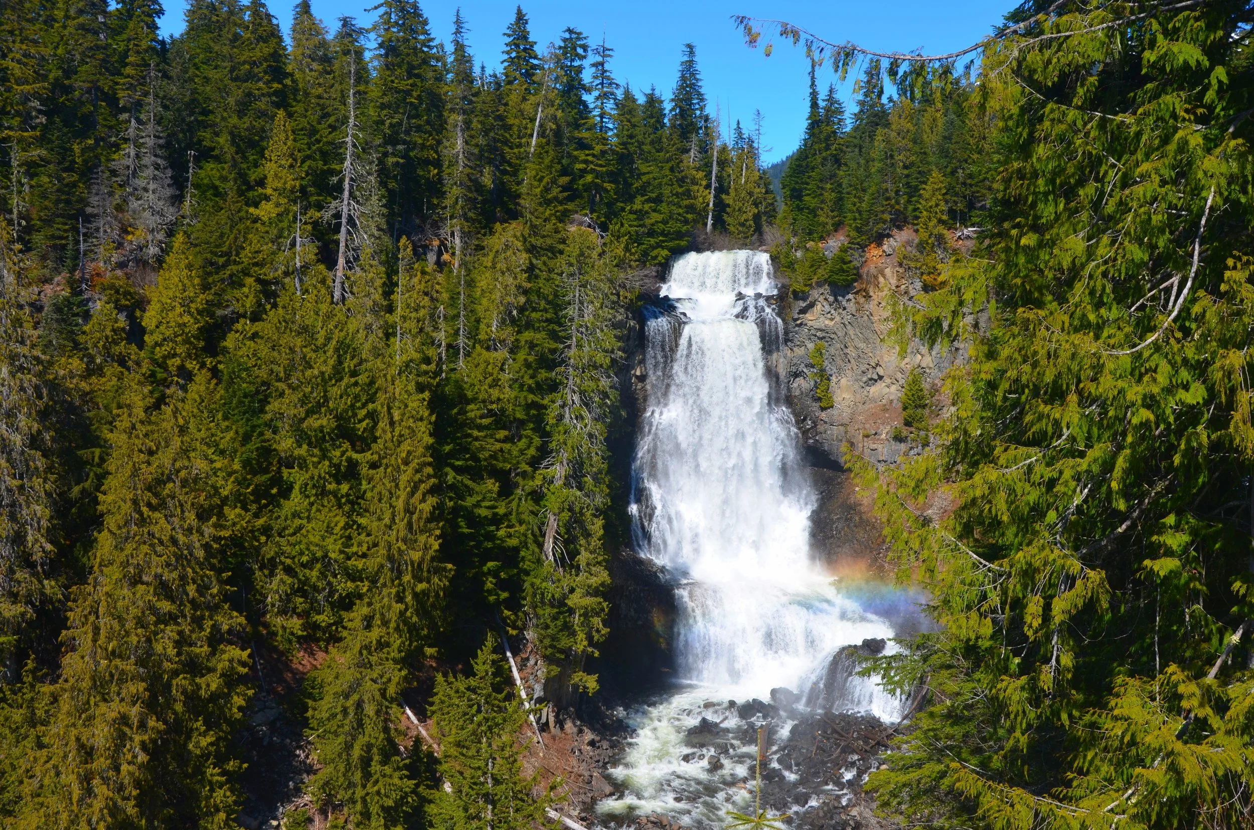 DSC_0827.JPG