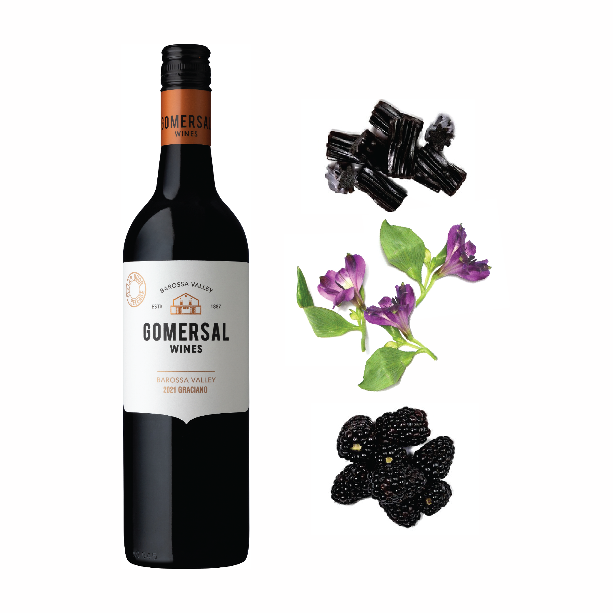 2021 Gomersal Wines Graciano Visual Tasting Note.png