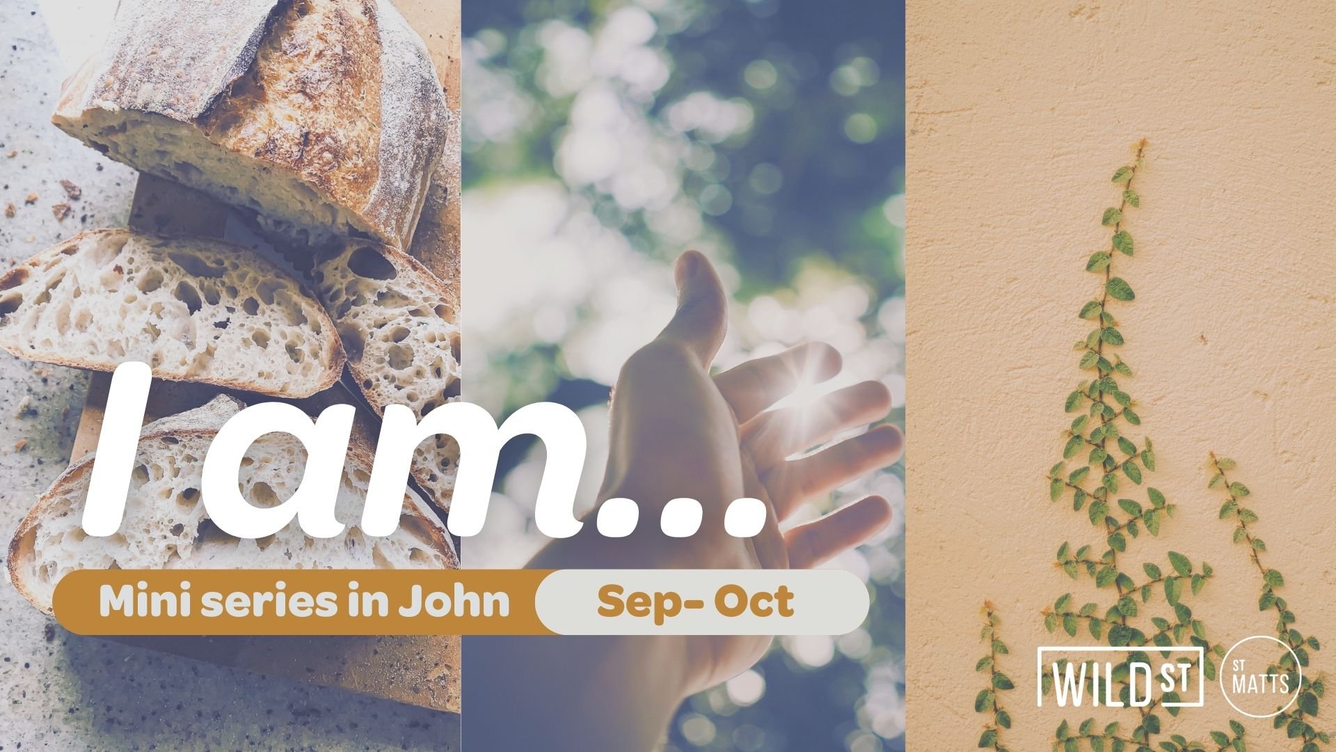 I AM the True Vine :: John 15:1-17