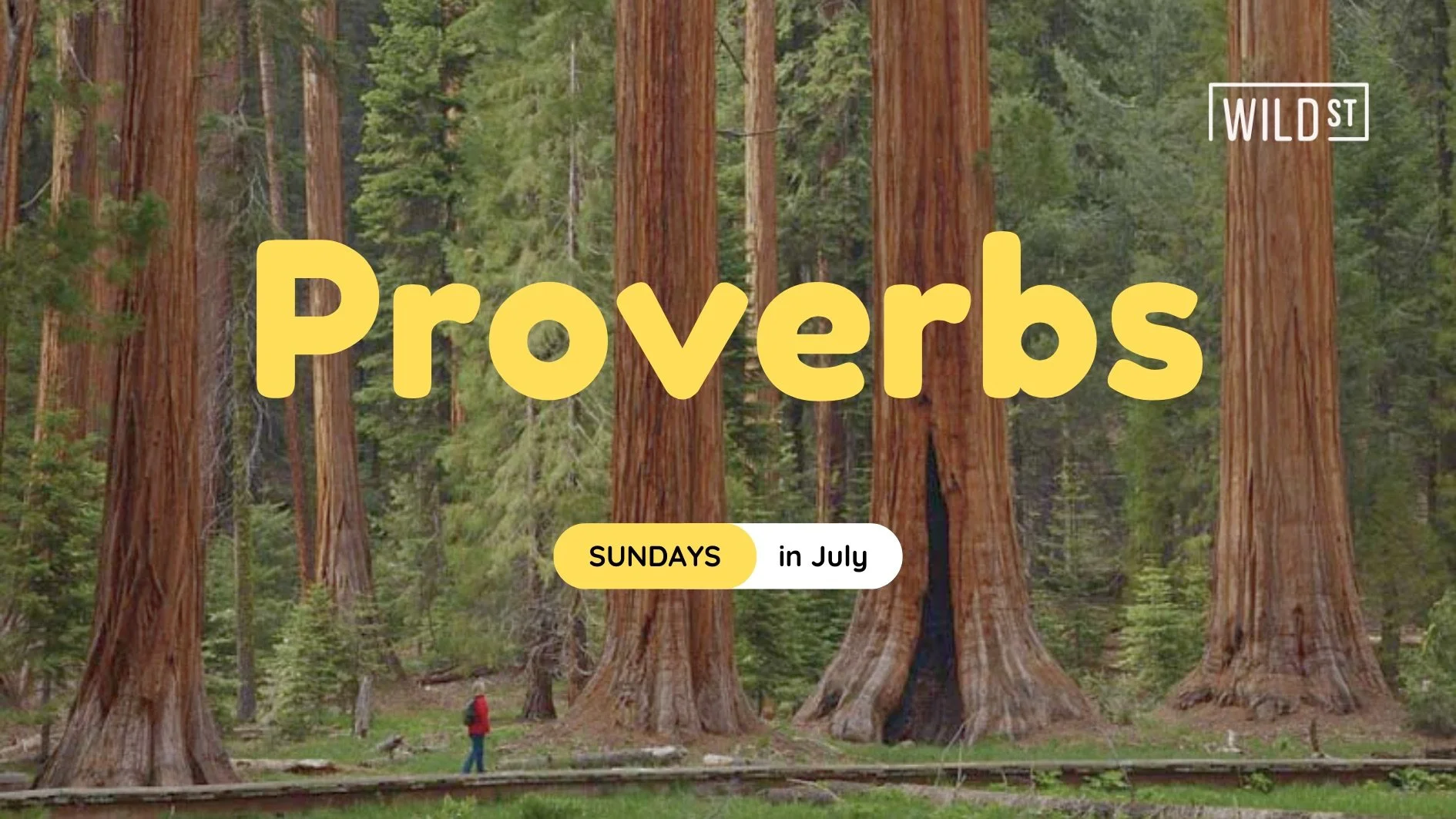 Proverbs 15:1-4