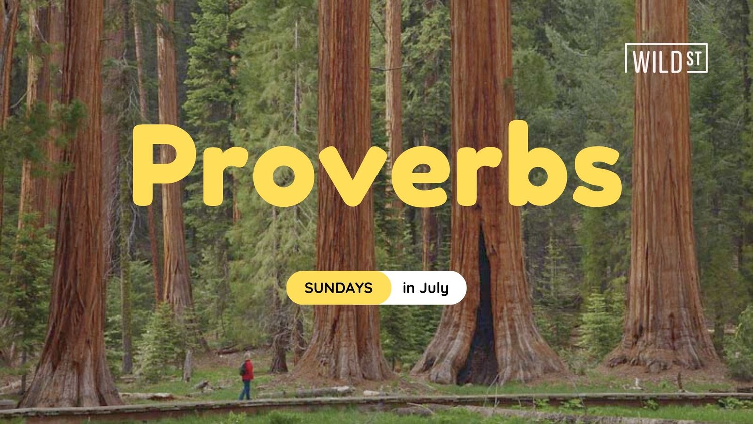 Proverbs 15:1-4 episode artwork