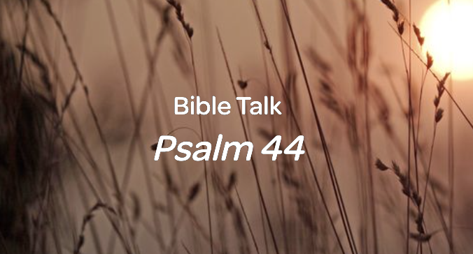 Psalm 44 episode artwork