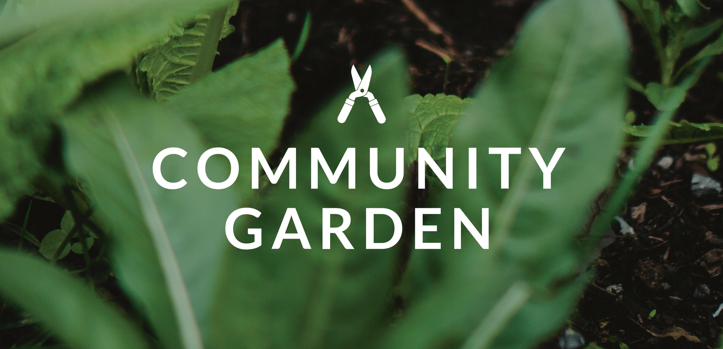 Community+Garden.png