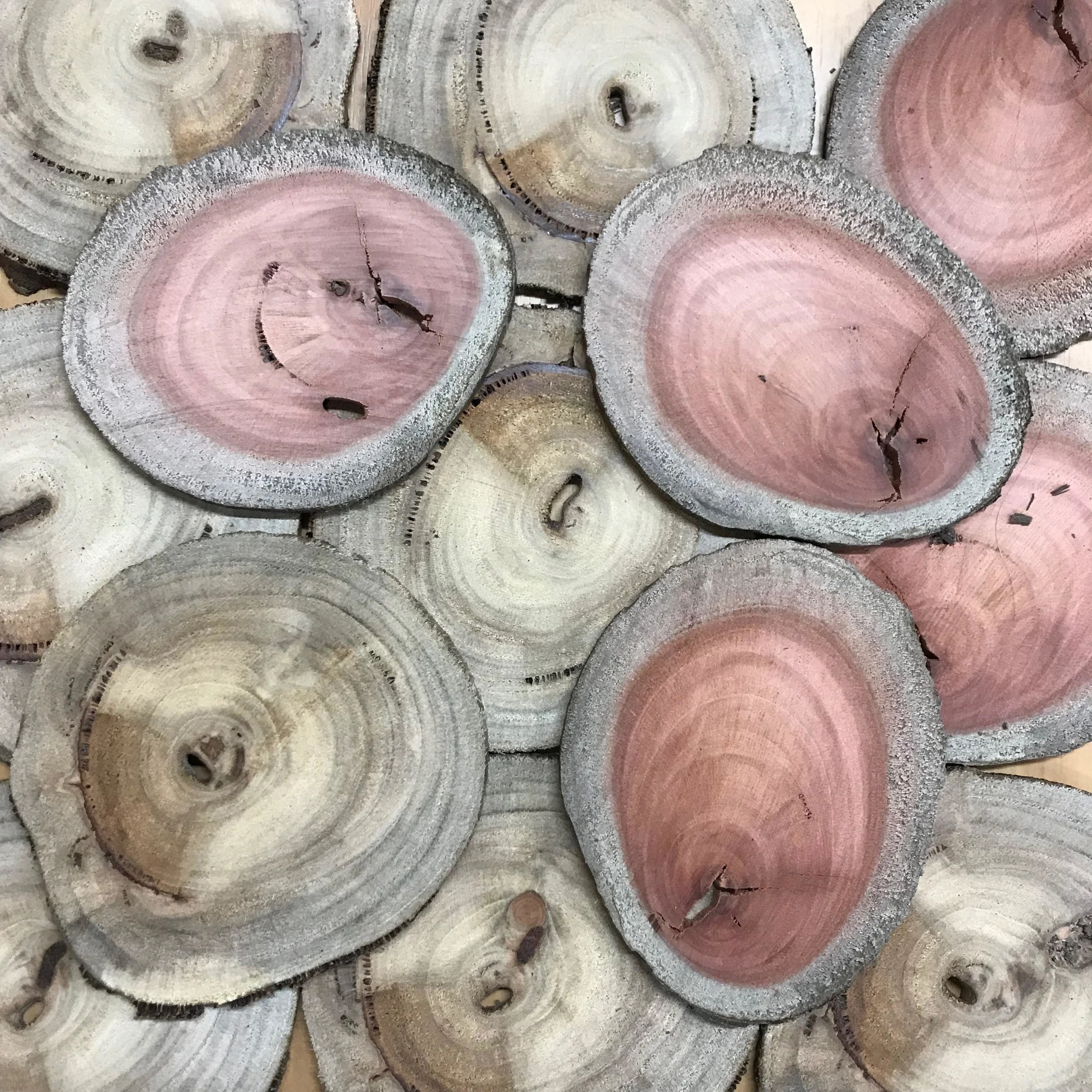 Wood slices