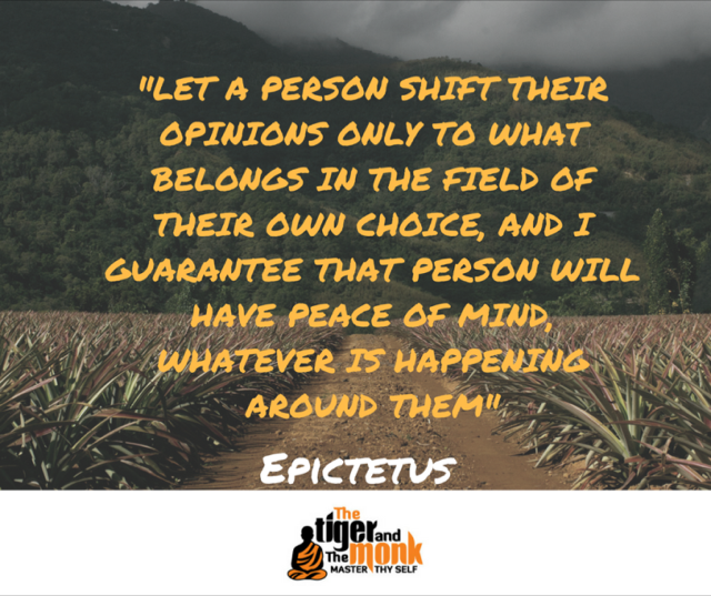 Energy Flows Where Attention Goes