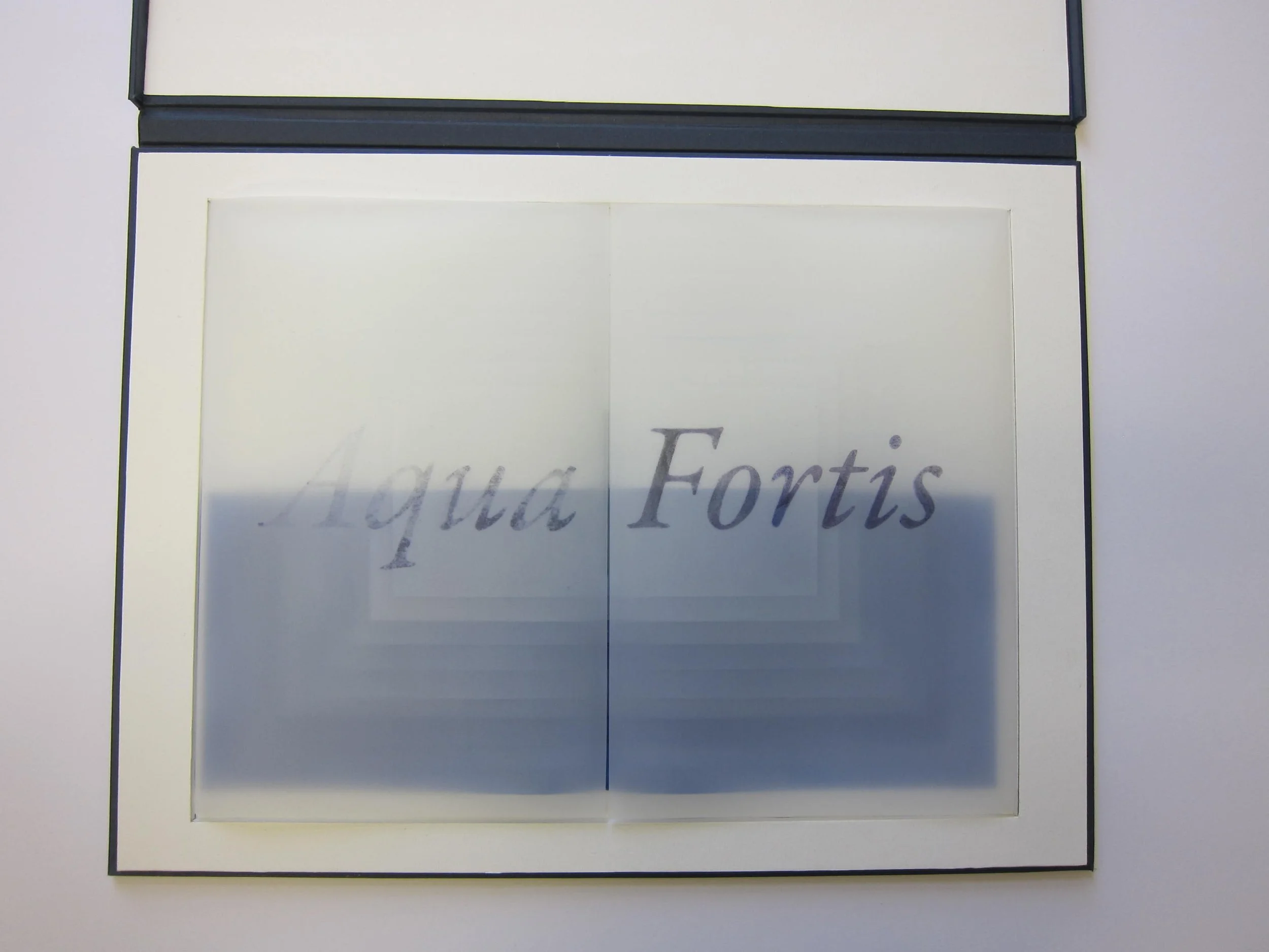 Biennale du Livre d'Artiste - neuvième édition