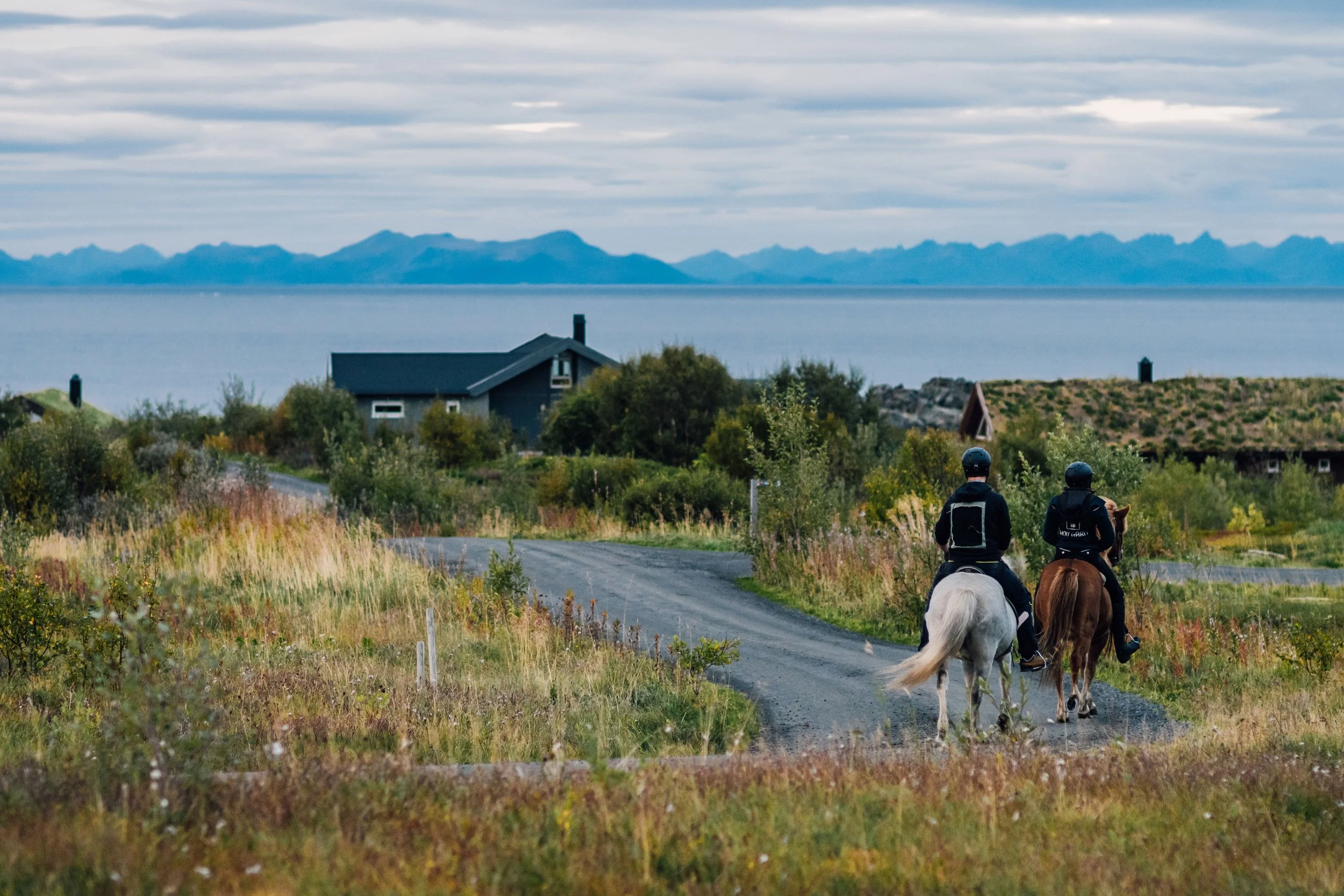 horse-riding-lofoten.jpg