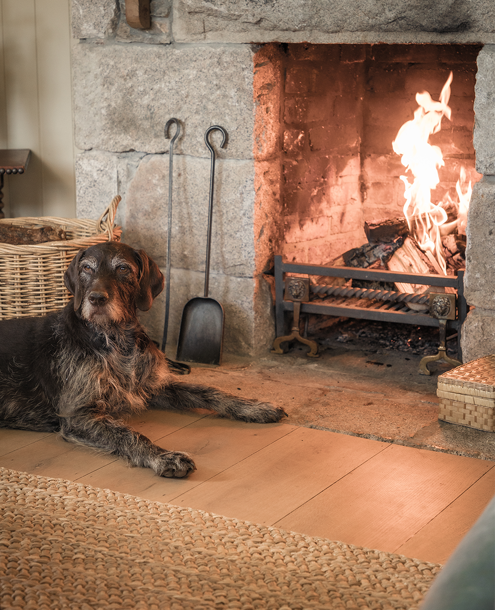 wildland-fireplace.png