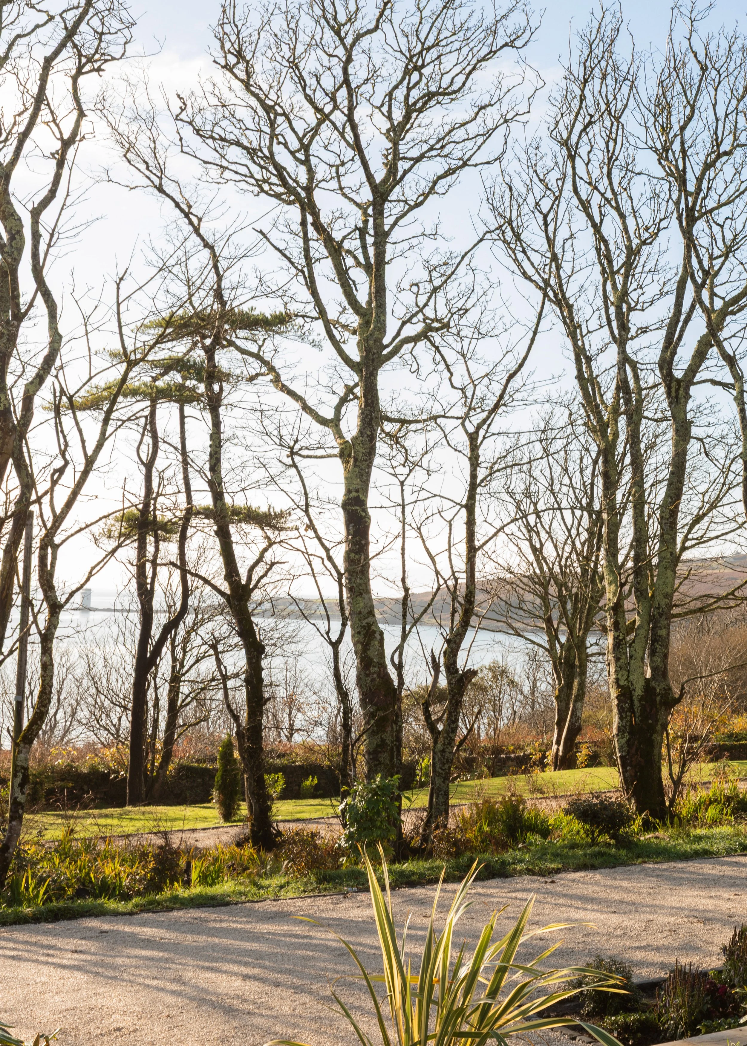 View of trees and loch outside Cairnmore House
