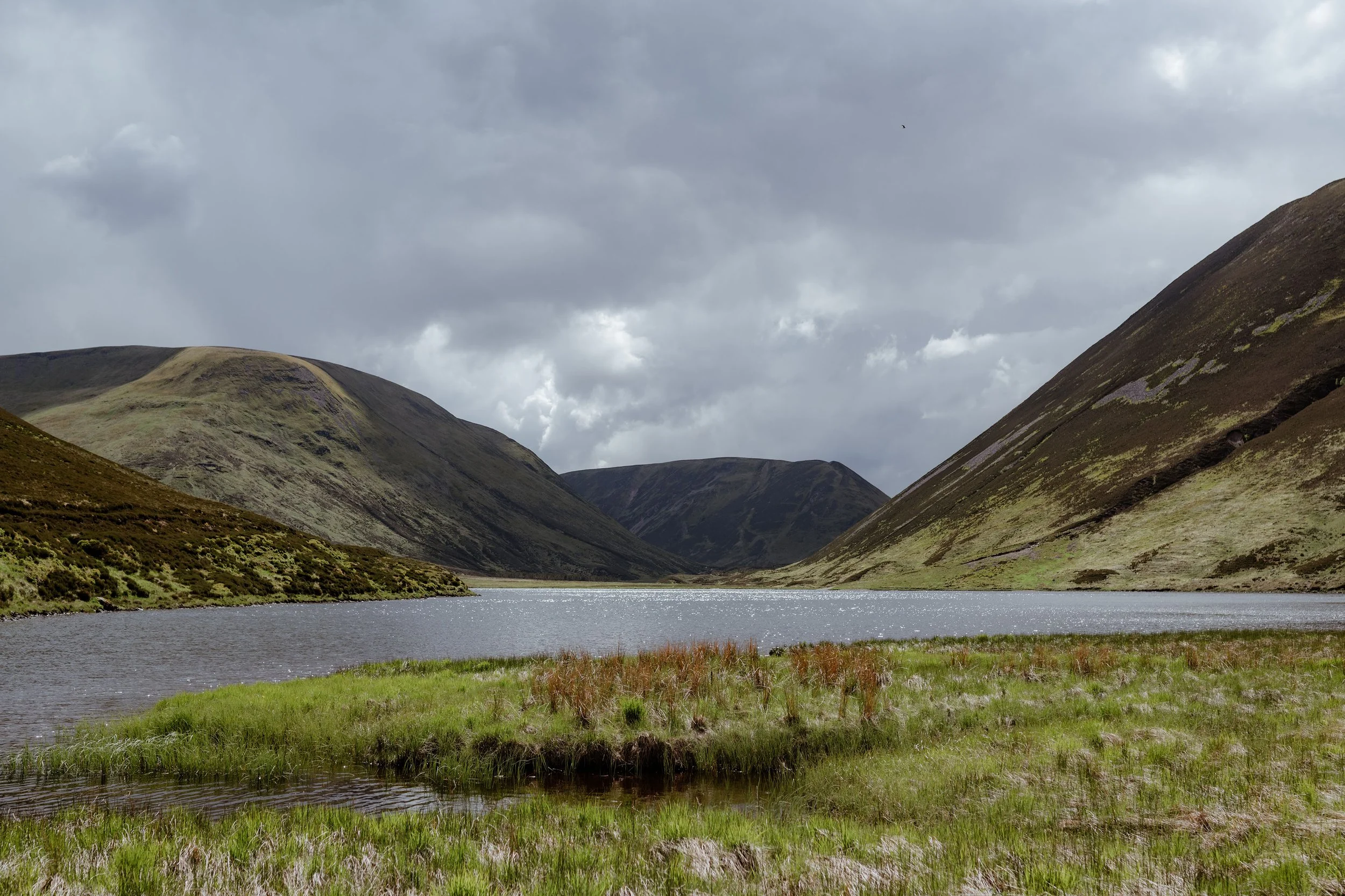 glenfeshie-estate.jpg