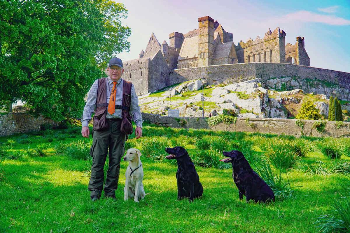 cashel-gun-dog-demo.jpg