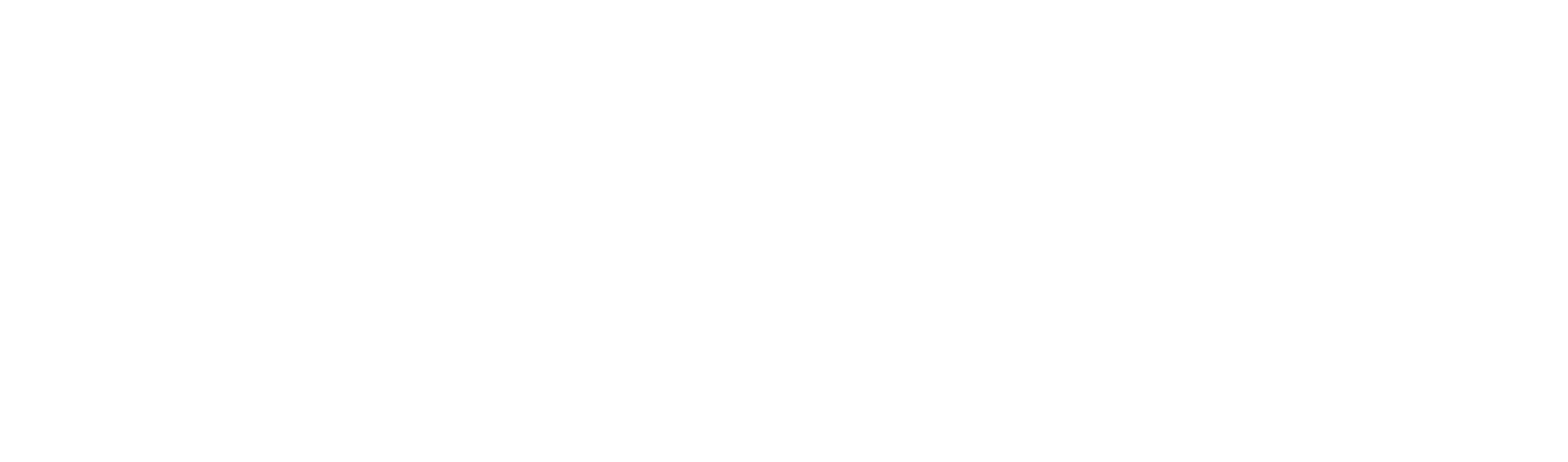 DNSTRY On Tour white.png