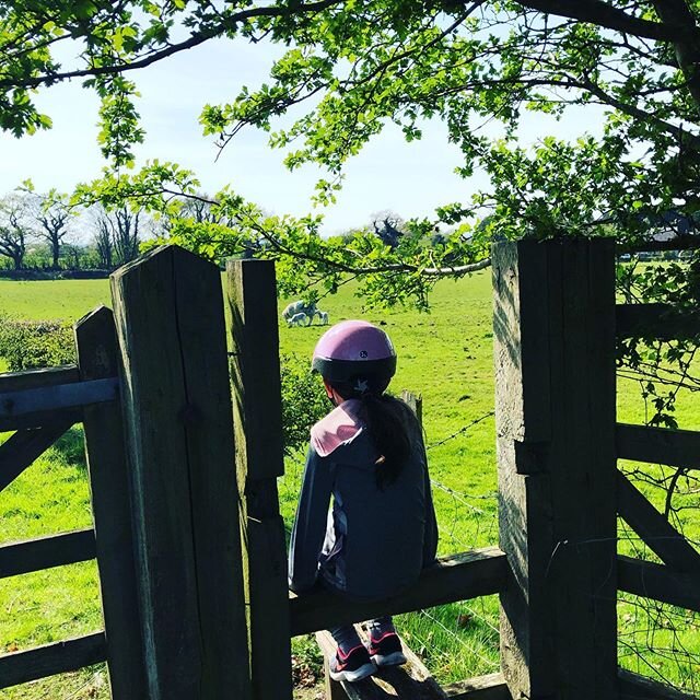 #bikeride #lambs #donteatmeat