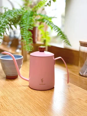 Pour over coffee electric kettle online