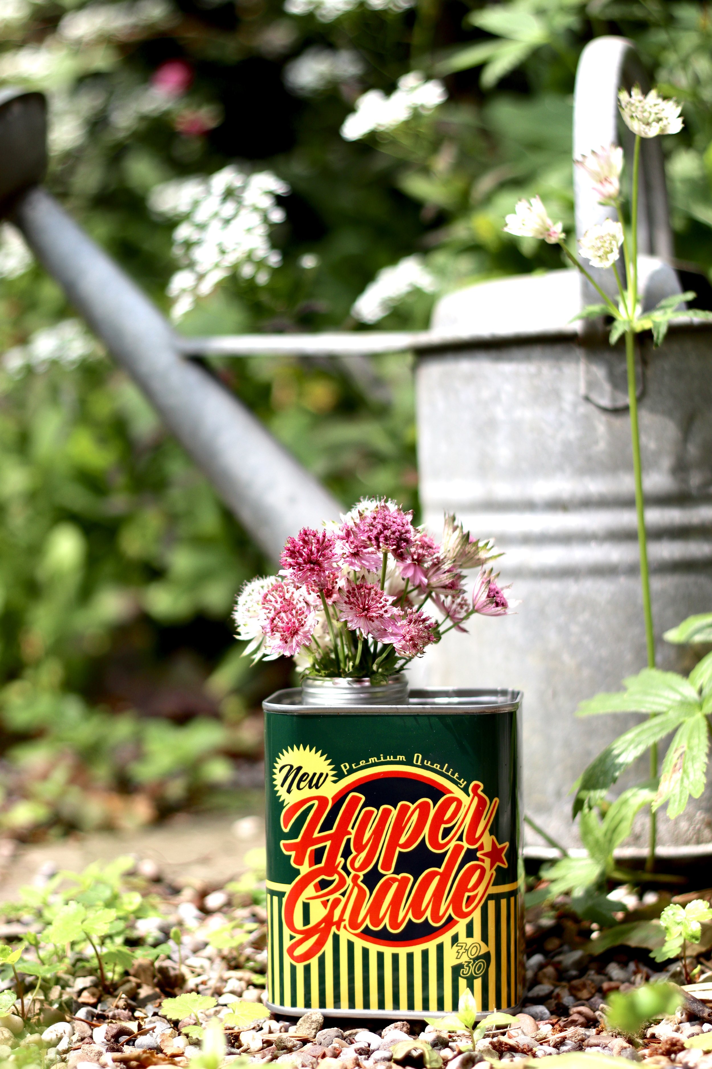 hypergrade coffee oilcan vintage garden