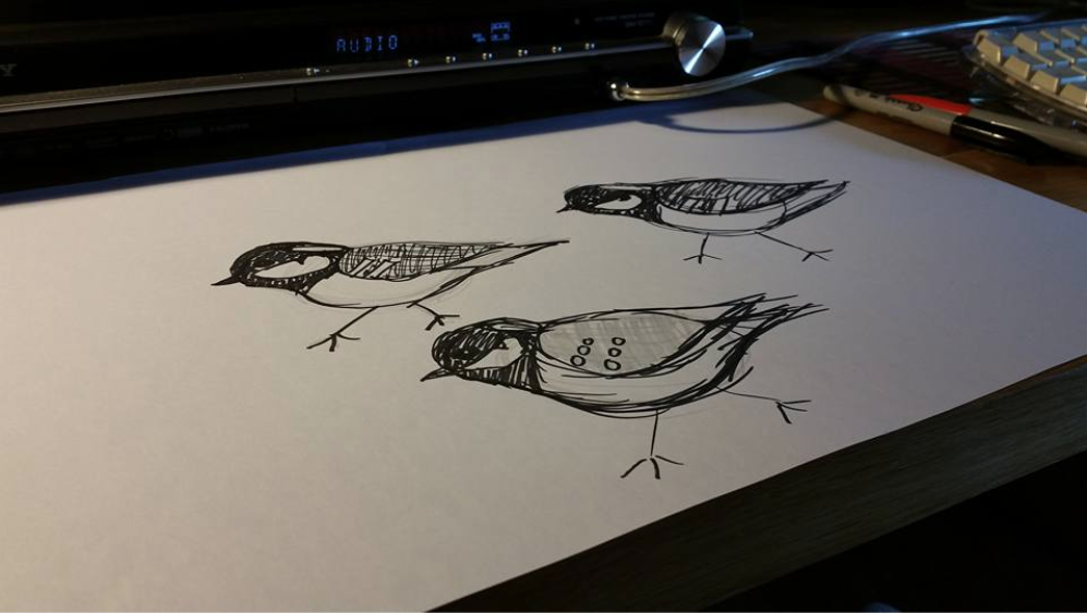 Initial sketches for a cheeky little Coal Tit