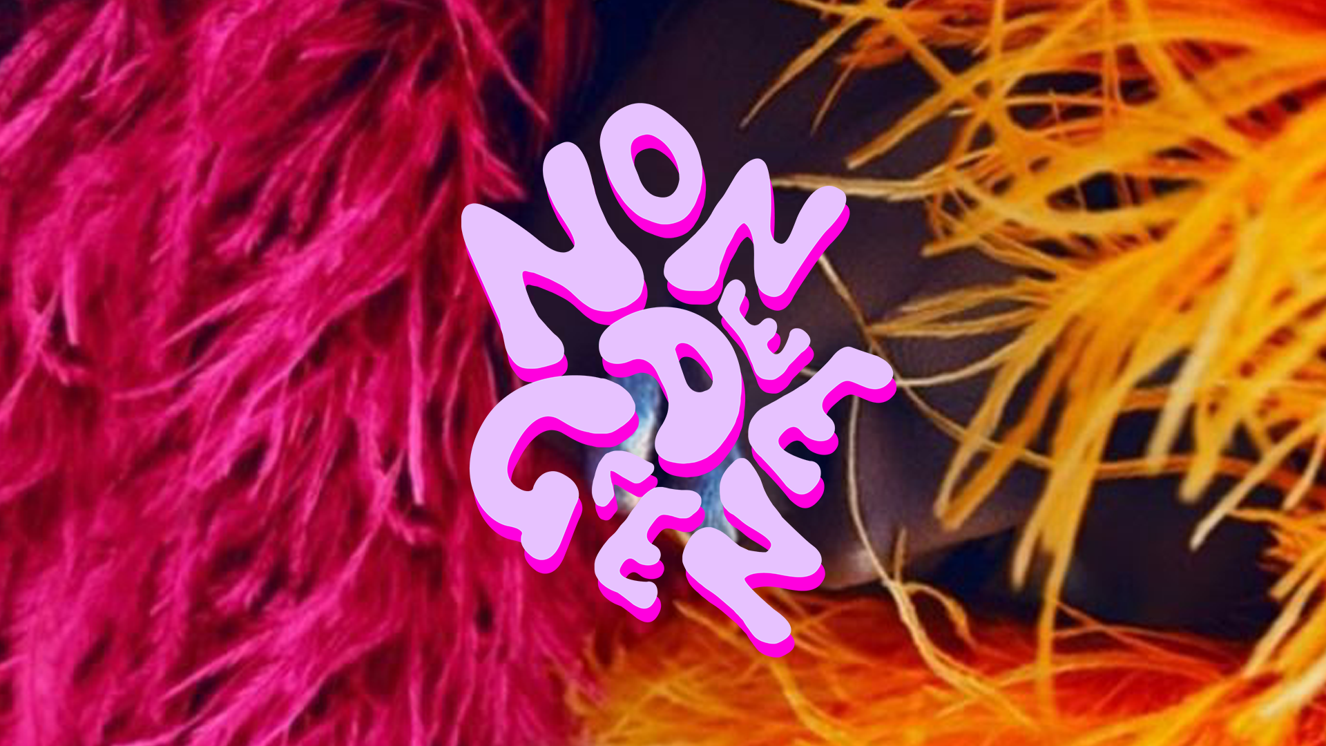 NDGN_promo_logo.png