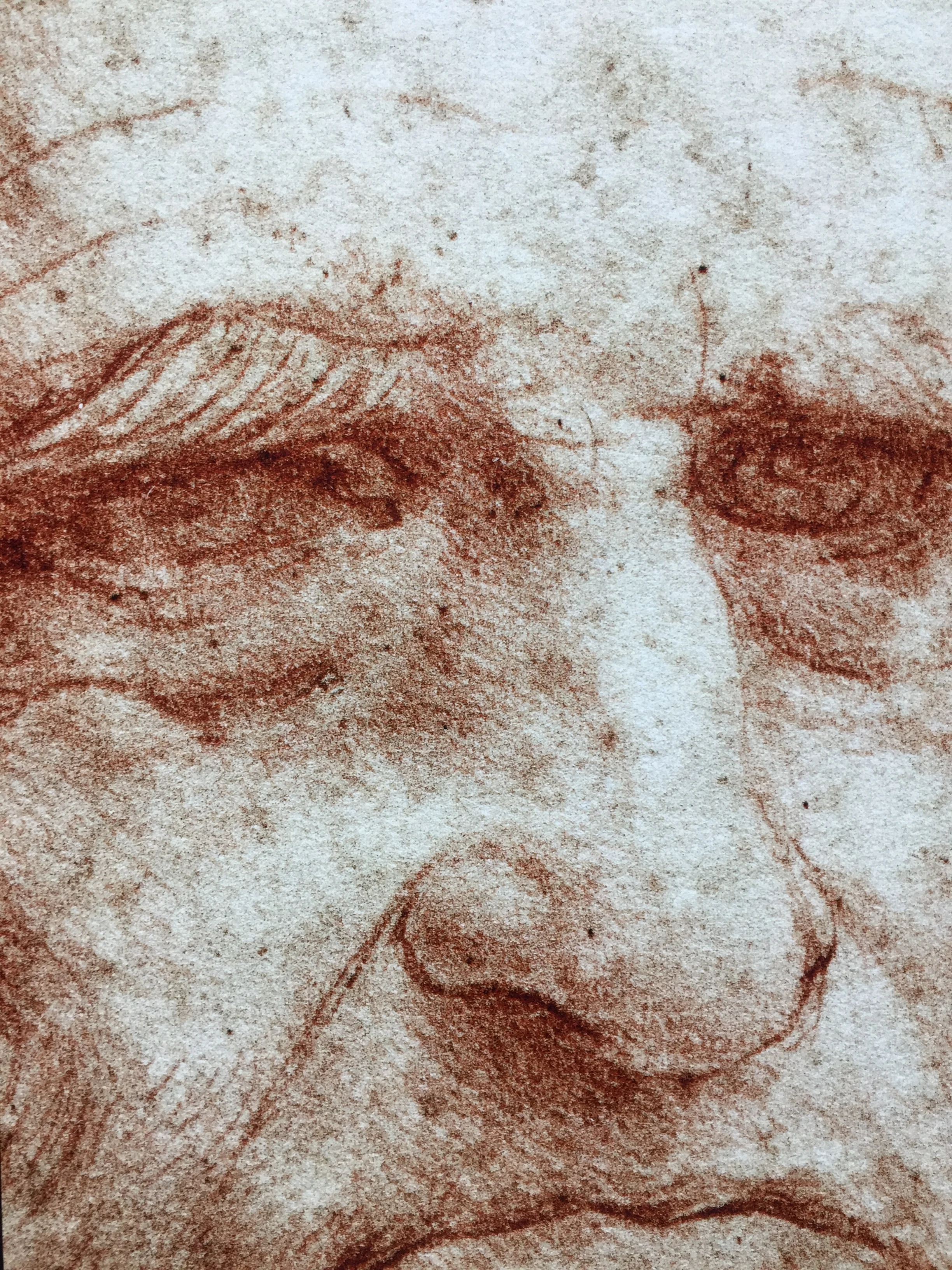 Exposición Los Rostros de Leonardo. Palacio de las Alhajas