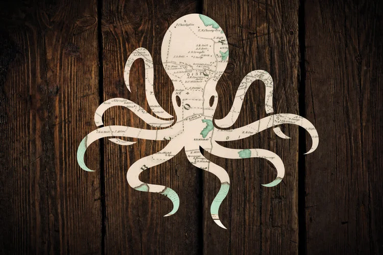 Octo_Map.jpg