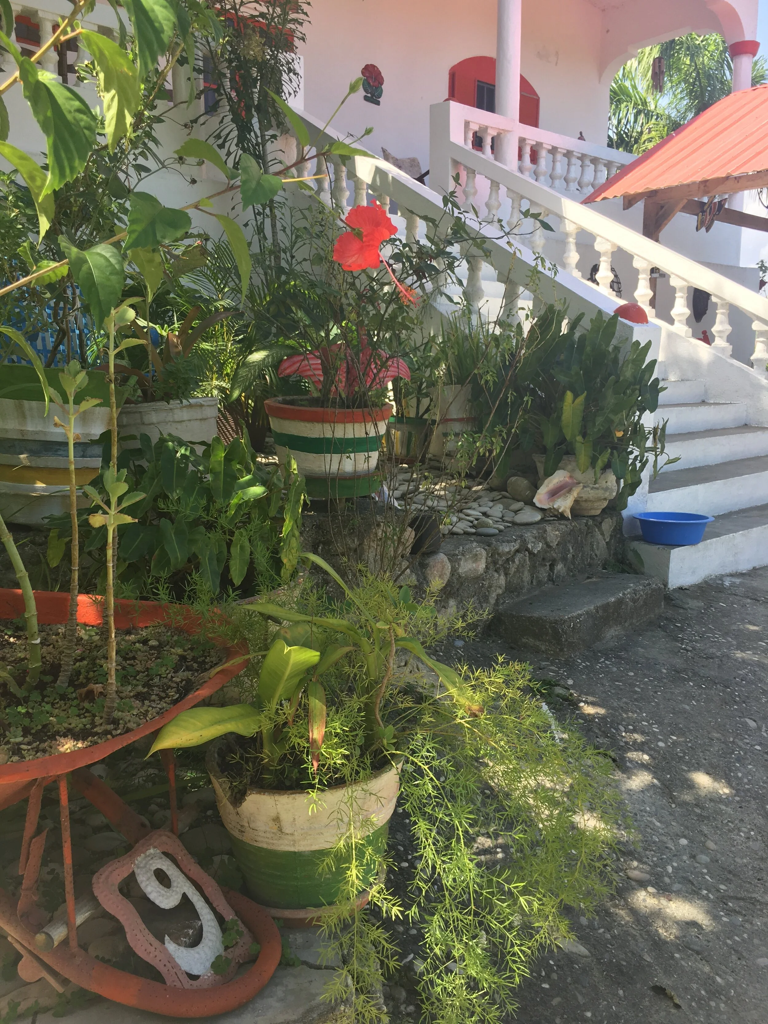 IMG_2278.jpeg