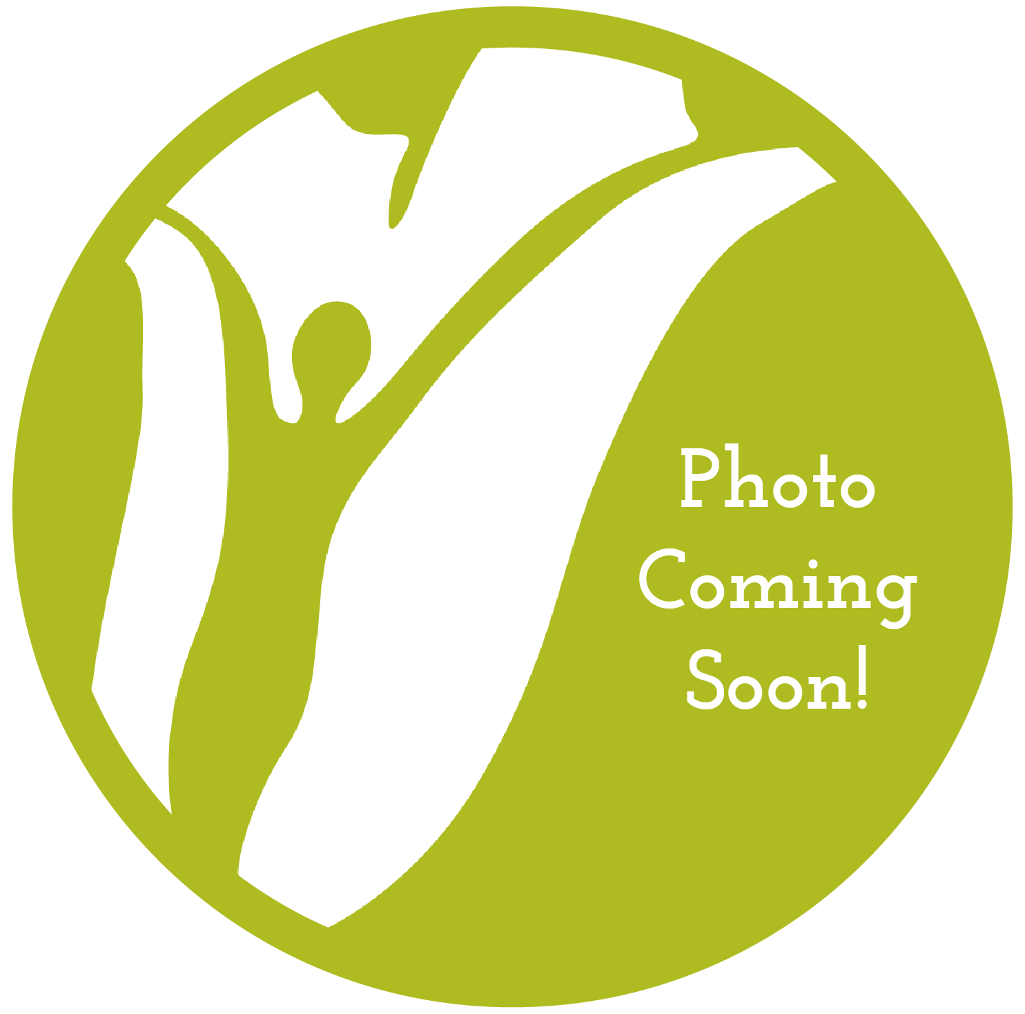 New Martinsville WSP — Crittenton Services