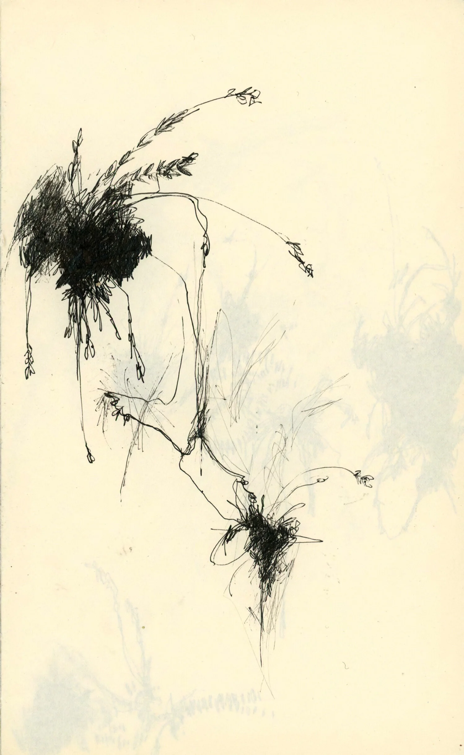 Untitled 4-7.jpg