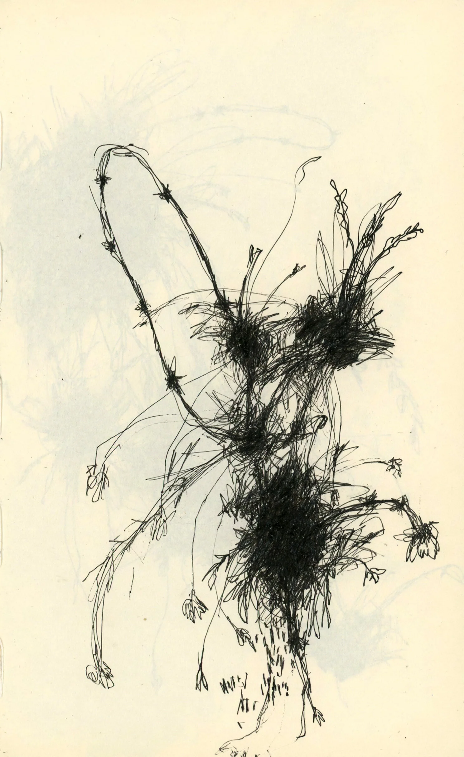 Untitled 4-11.jpg