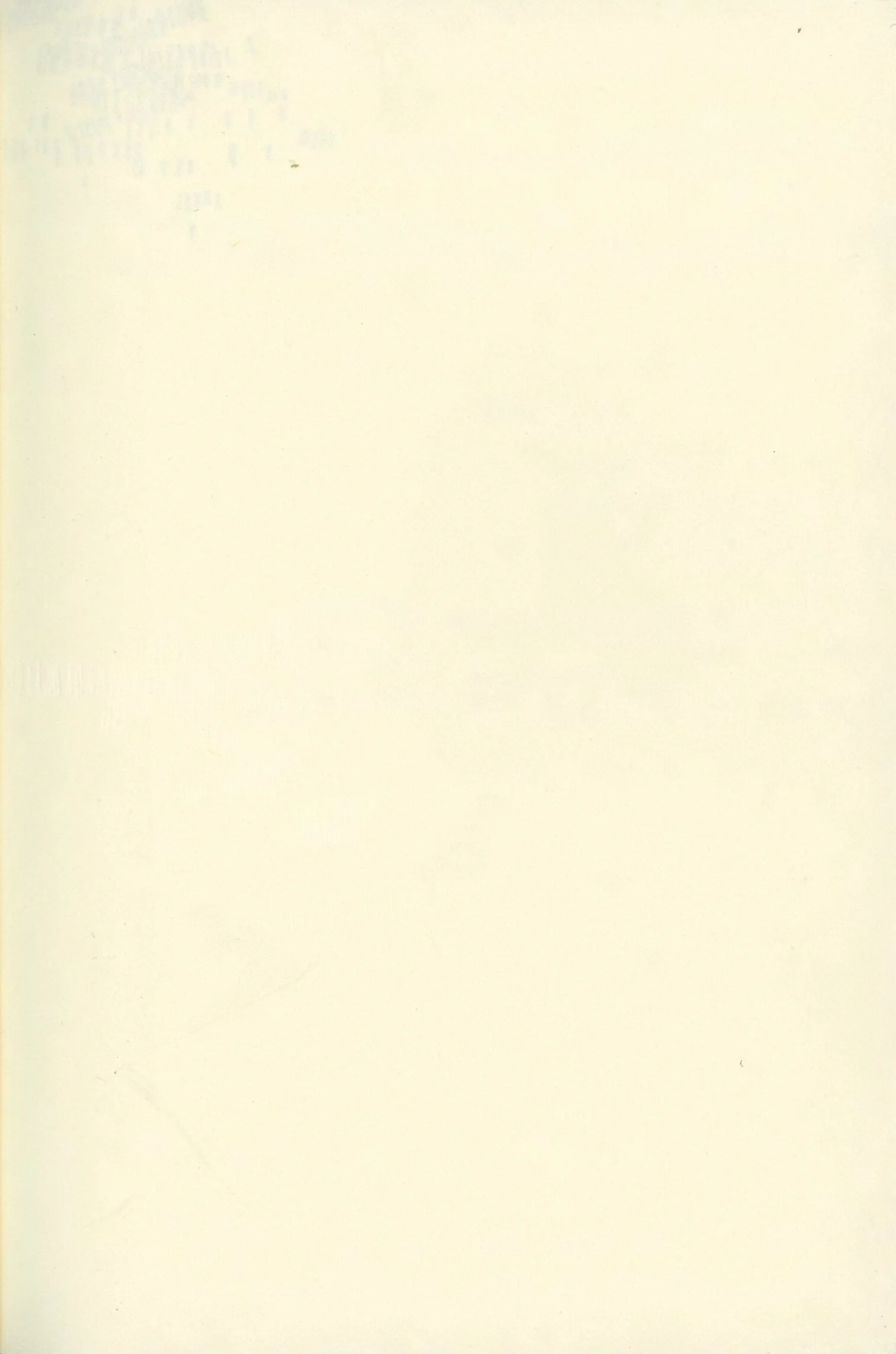 Untitled 2-26.jpg