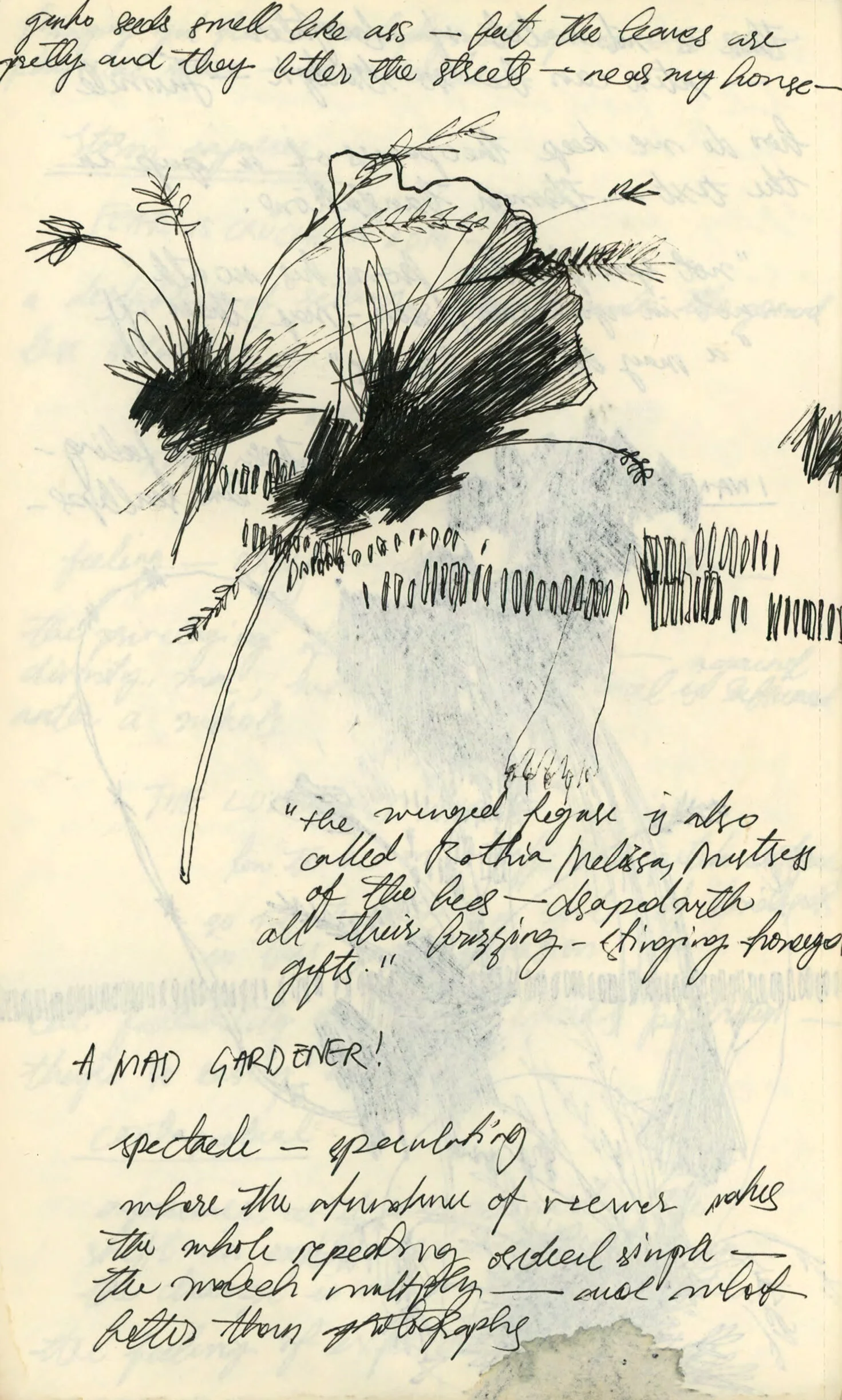 Untitled 5-11.jpg