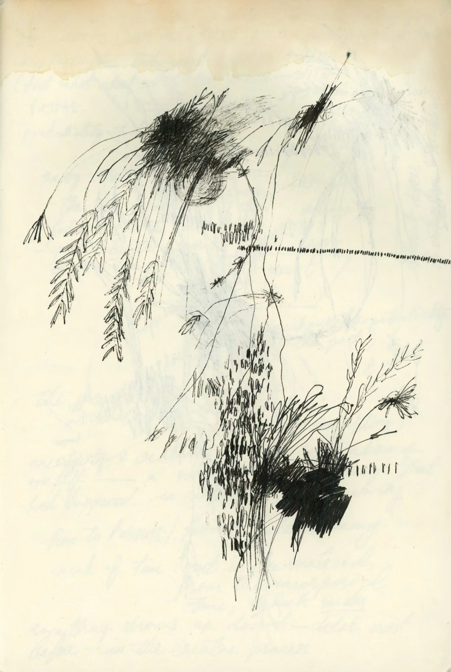 Untitled 1-2.jpg