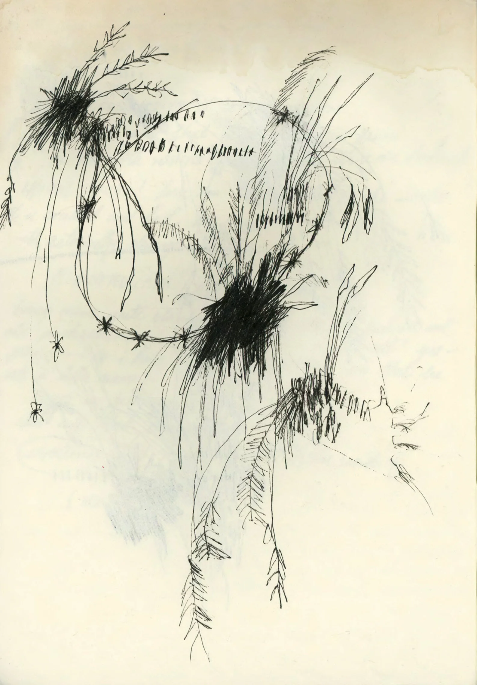 Untitled 1-3.jpg