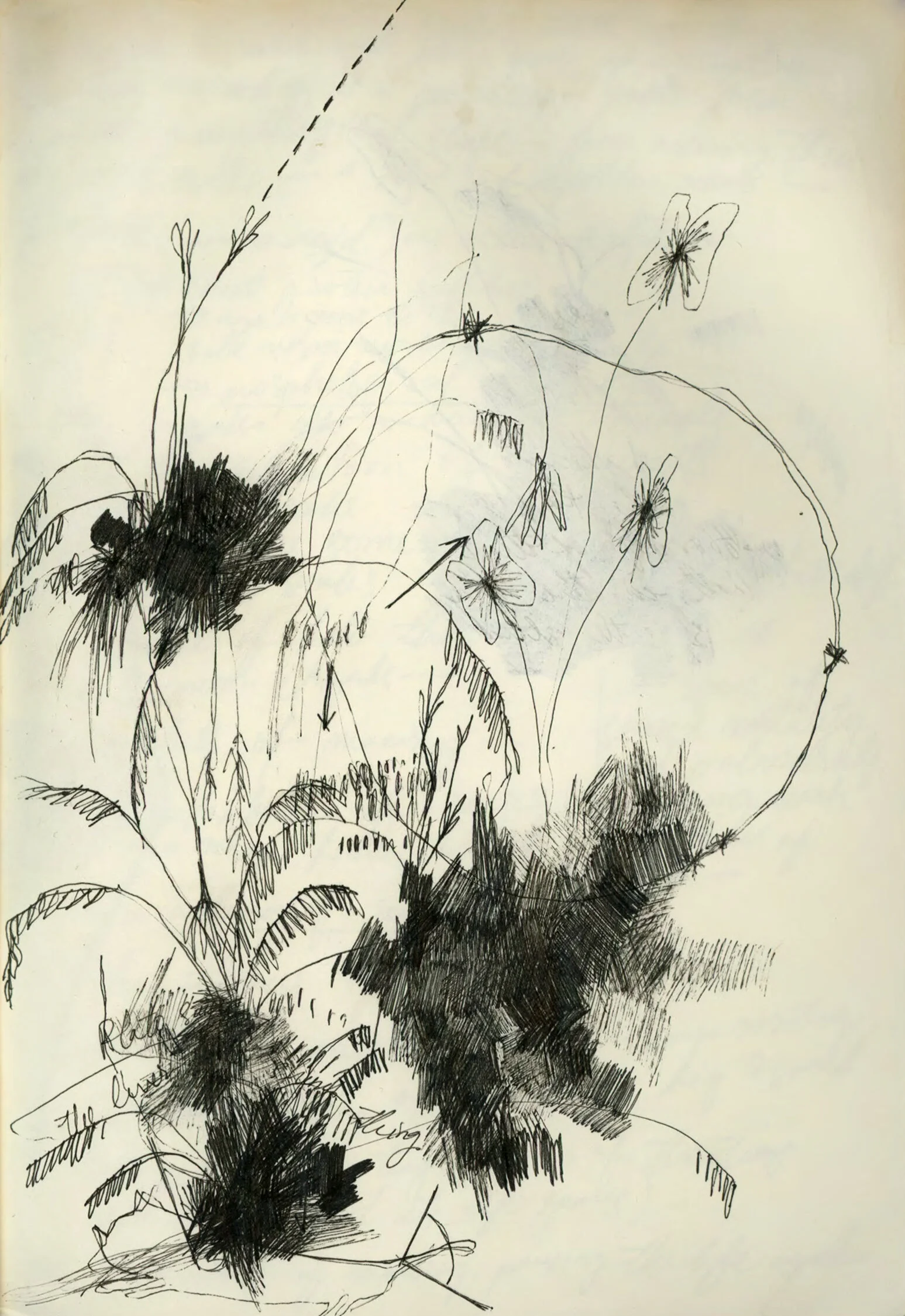 Untitled 1-16.jpg