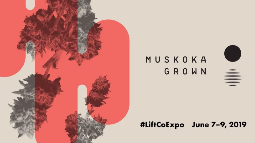 red_twitter_muskoka.jpg