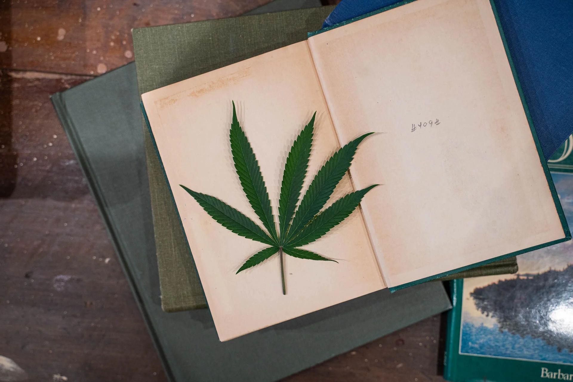 MUSKOKA GROWN GLOSSARY OF TERMS 