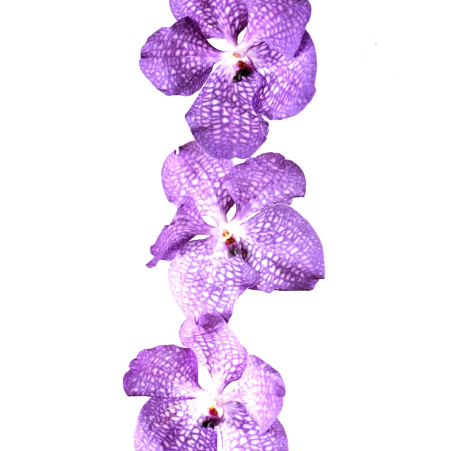 361F.jpg