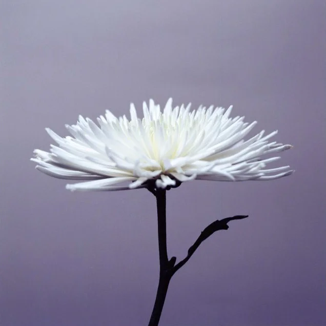 380F.jpg