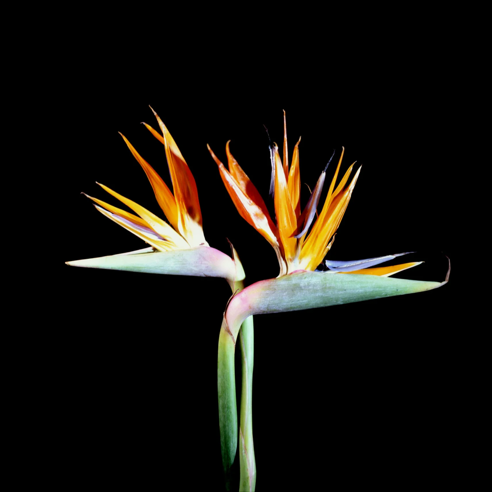 307F.jpg